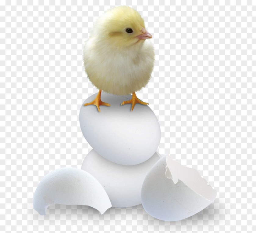 Easter Clip Art PNG