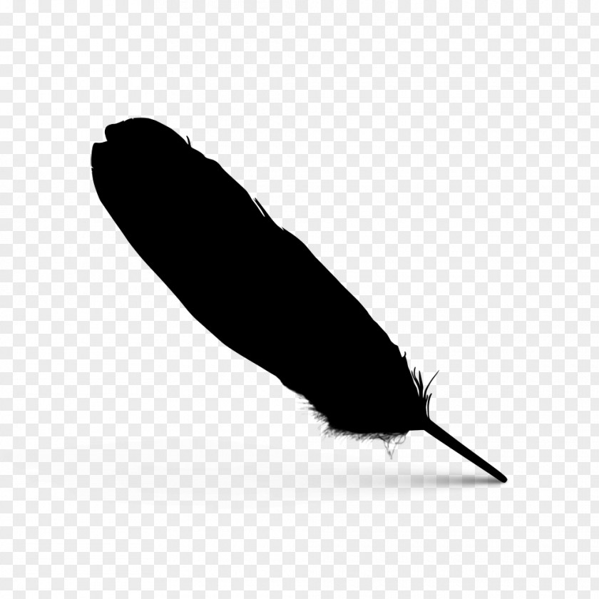 Feather Font Line Beak Black M PNG