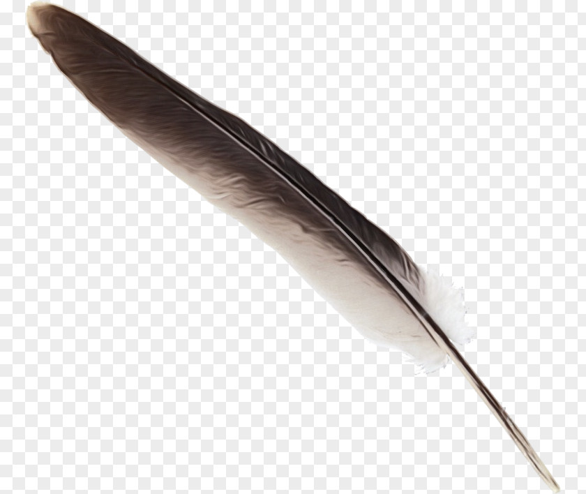 Wing Writing Implement Cartoon PNG