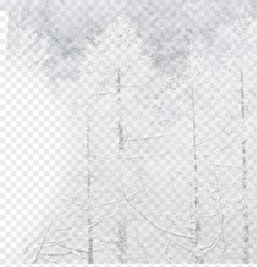 Winter White Tree Black Angle Pattern PNG