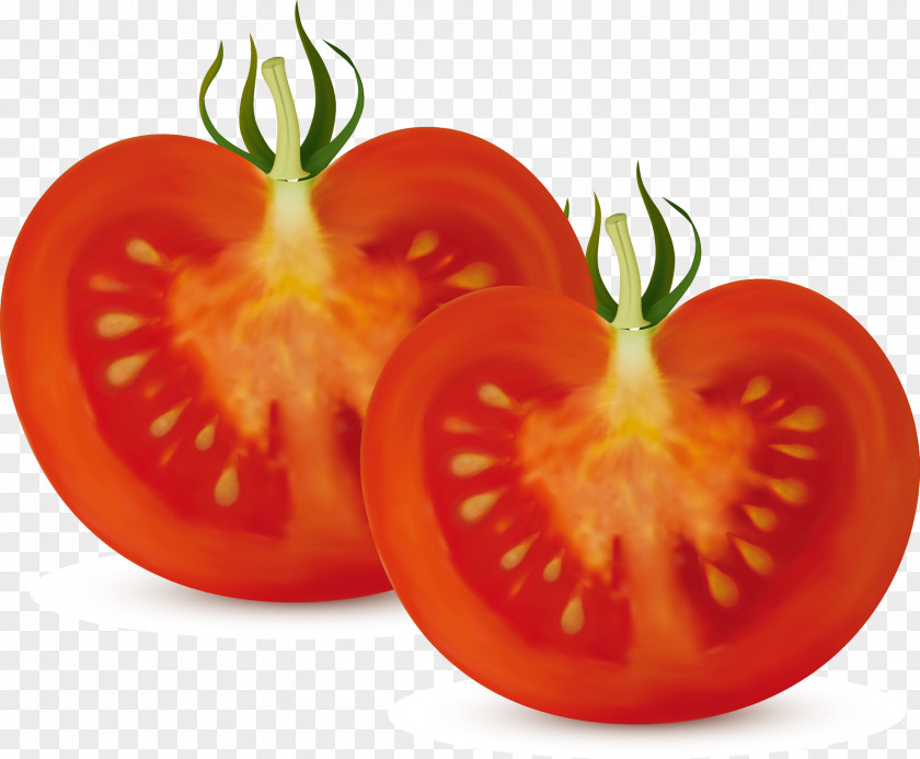 Cut Tomatoes Tomato Sauce Vegetable Clip Art PNG