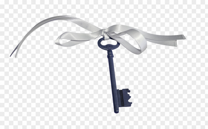 Iron Key Free Pull Pictures Euclidean Vector PNG