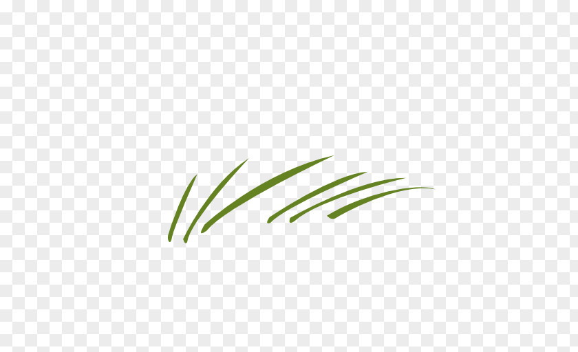 Leaf Logo Grasses Plant Stem Font PNG