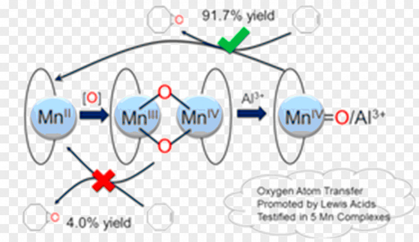 Line Point Technology Angle PNG