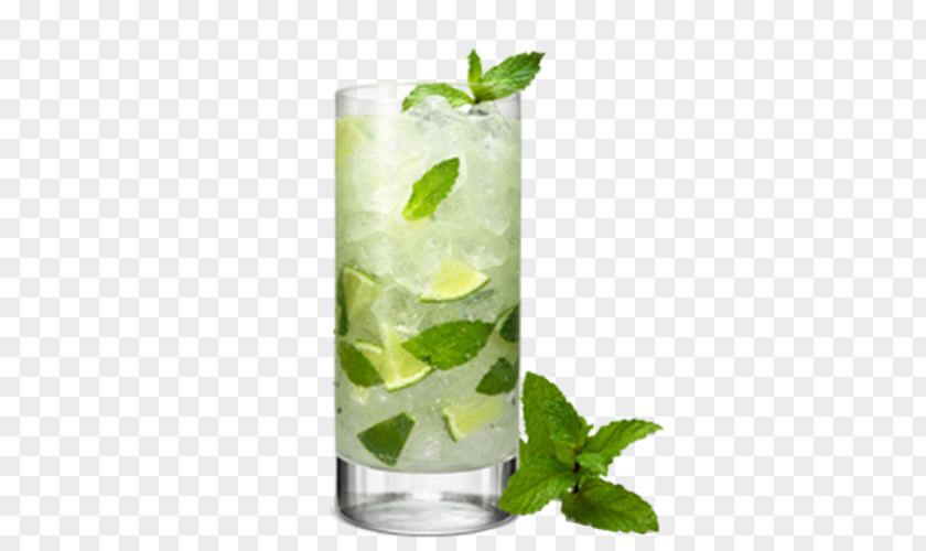 Mojito Cocktail Rum Bacardi Superior Bloody Mary PNG