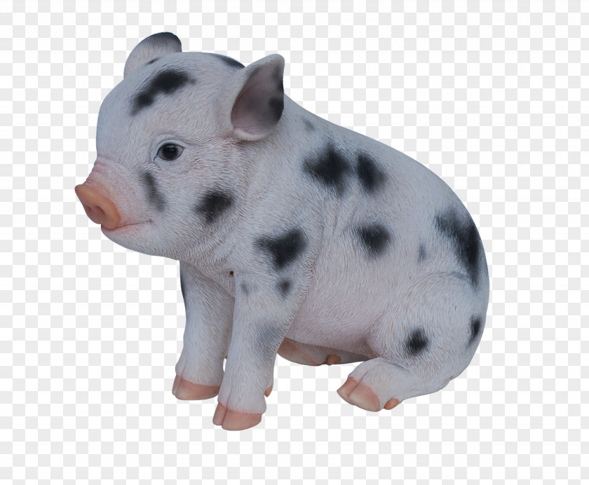 Pig Domestic Snout Figurine PNG