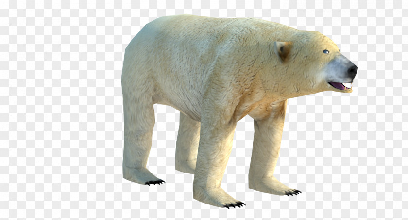 Polar Bear Low Poly 3D Computer Graphics Wavefront .obj File PNG
