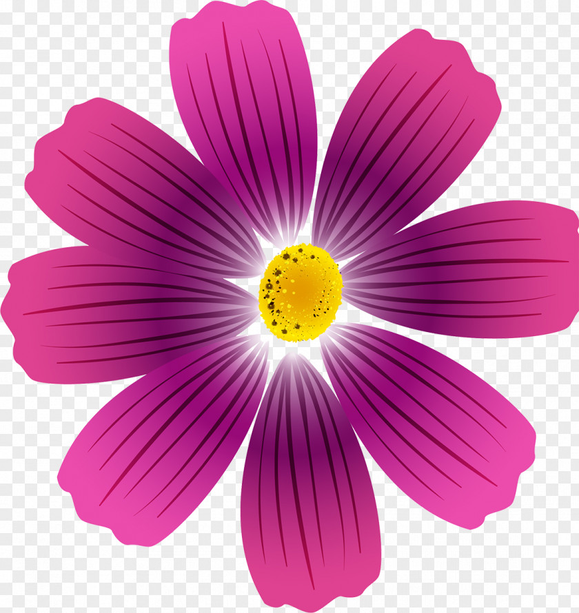 Cosmos Flower Painting Drawing Petal PNG