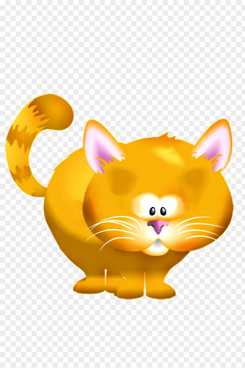 Kitten Cat PNG