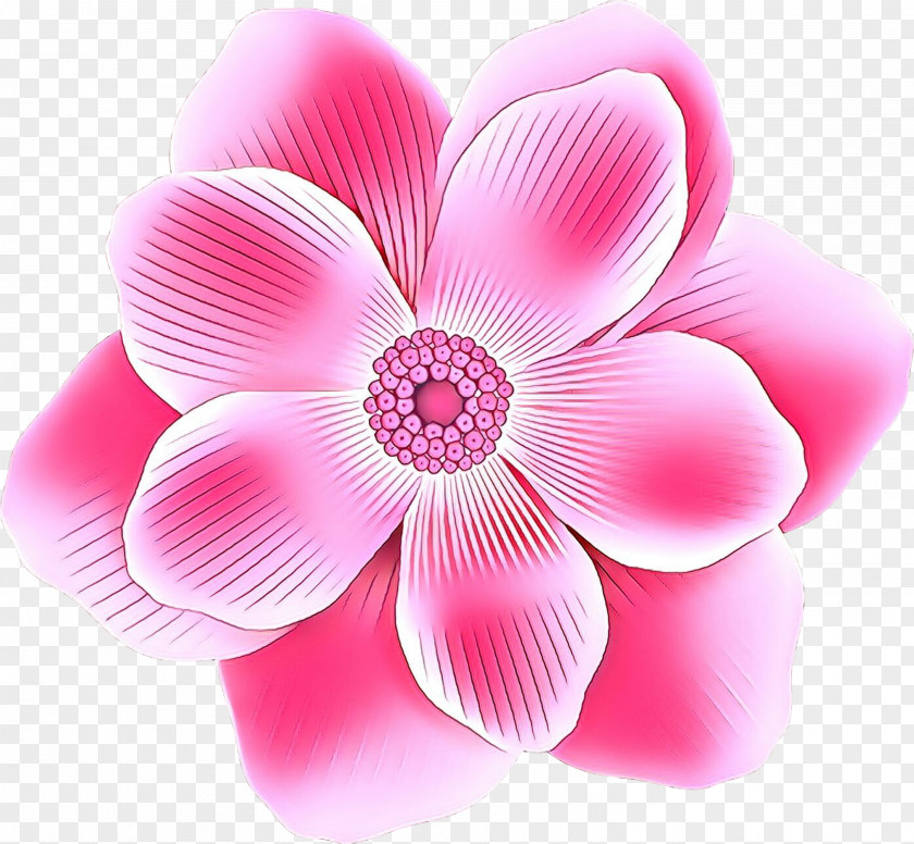 Perennial Plant Pink Flower Cartoon PNG