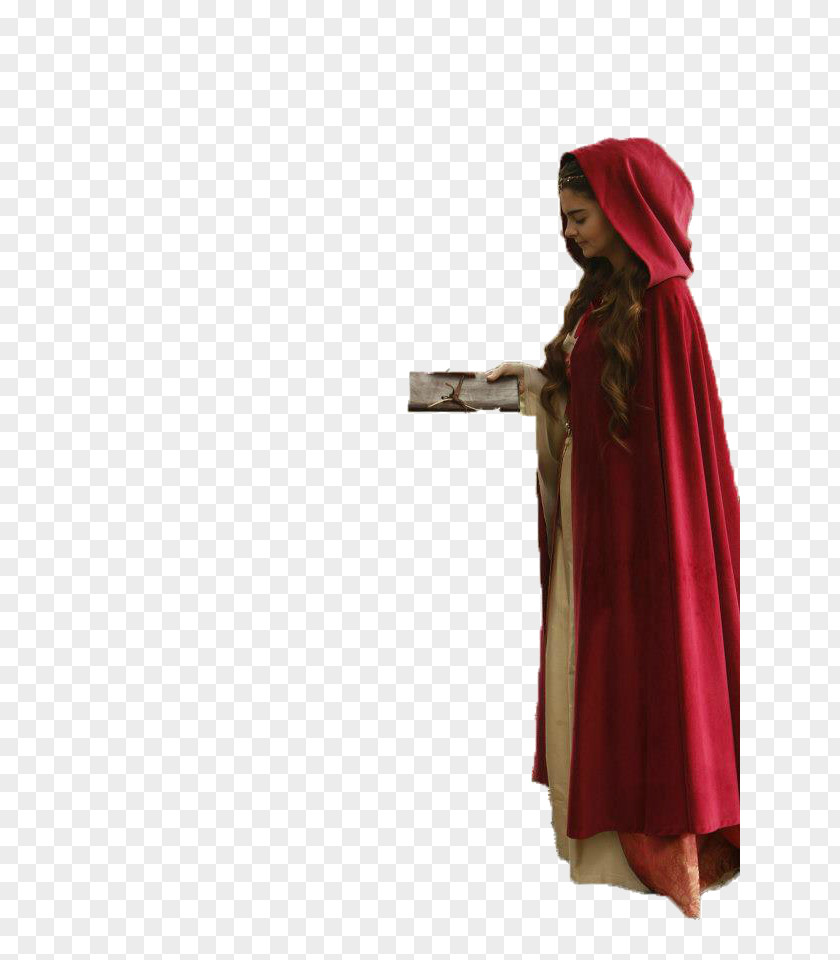 Robe Maroon Velvet PNG