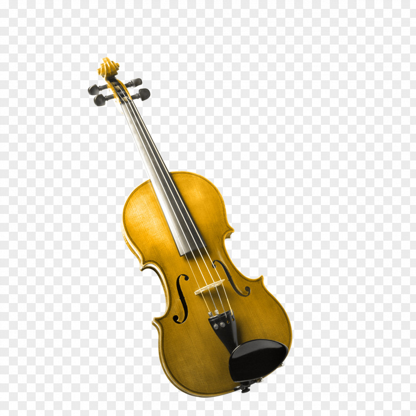 Violin Musical Instrument Cello Orchestra PNG