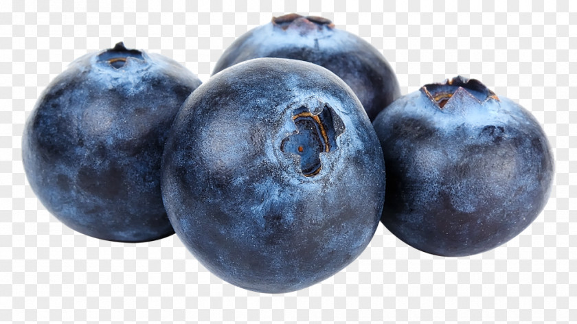 Blueberry Fruit Highbush Bilberry PNG