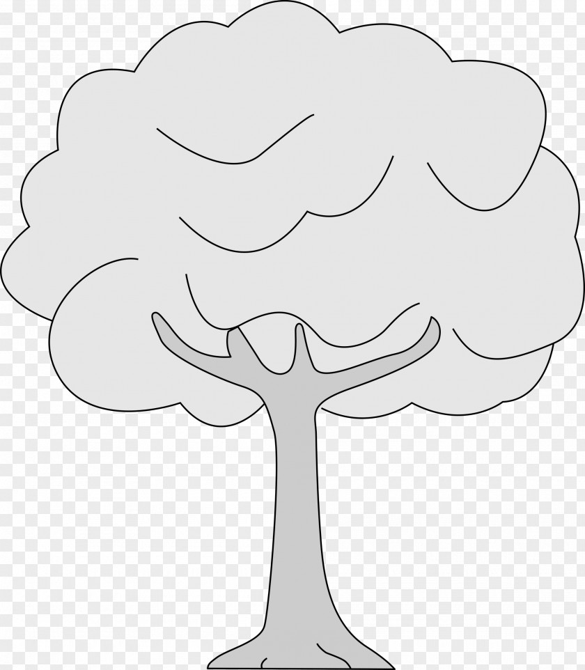 Colors Clipart Tree Woody Plant Drawing Trunk Clip Art PNG