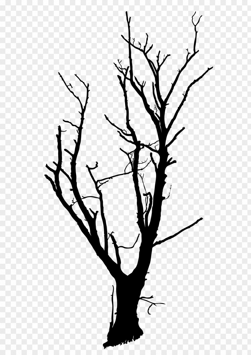 Dead Tree Drawing Branch Clip Art PNG