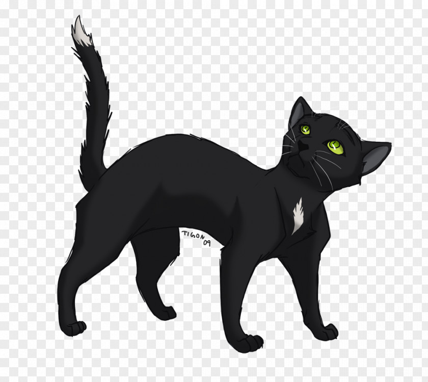 Helpless Into The Wild Cat Warriors Ravenpaw Firestar PNG