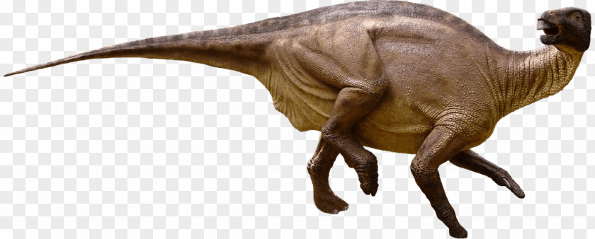 Iguanodon Tyrannosaurus Camptosaurus Moab Giants Dinosaur PNG