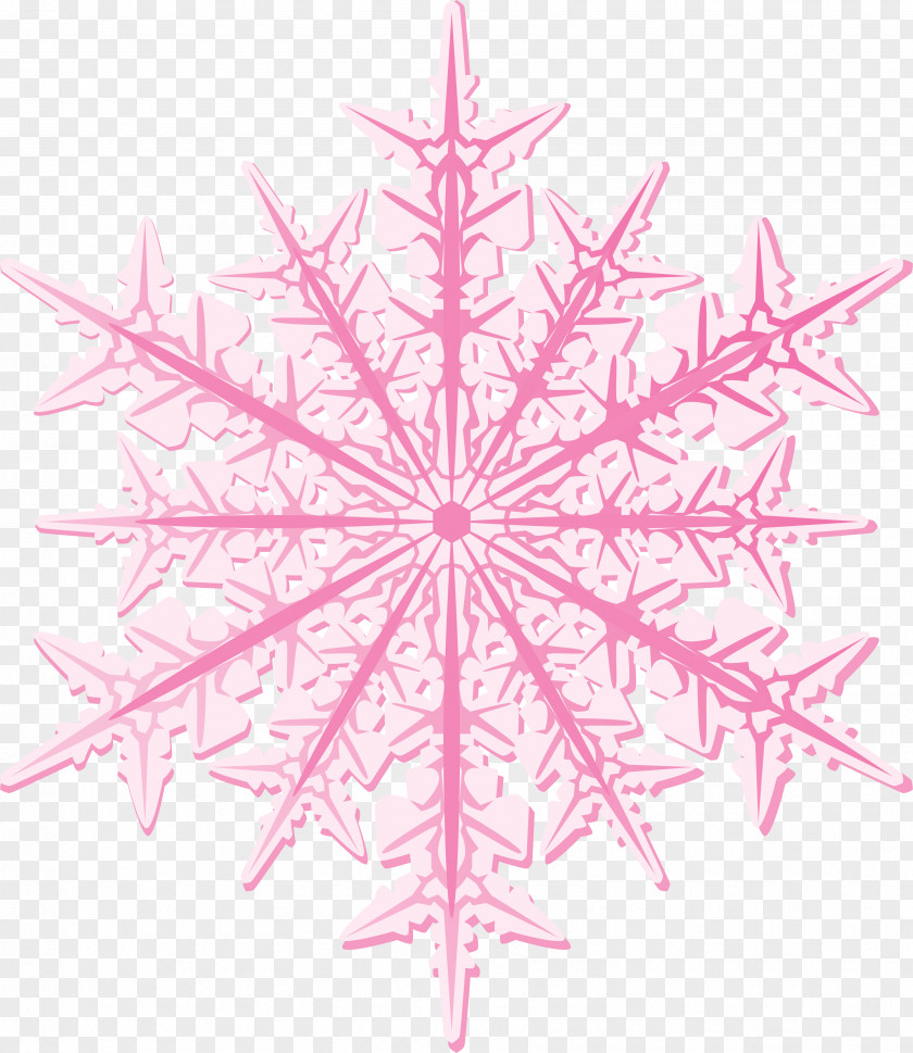 Snow Flake Snowflake Ice Crystals Photography PNG