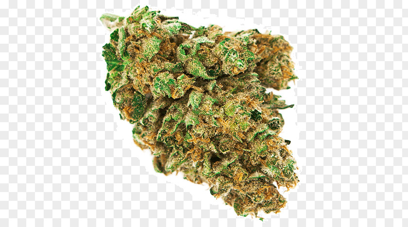 Cannabis Bud Durban Poison Skunk Blue Dream PNG