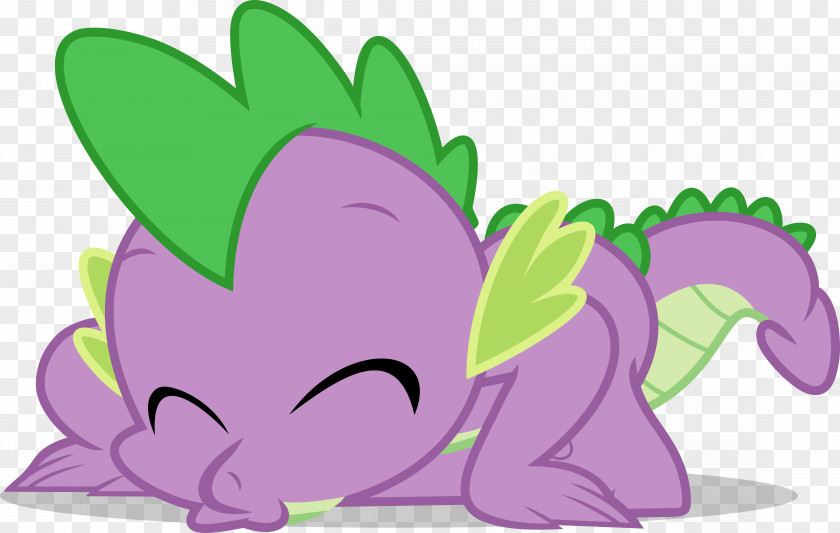Dragon Pony Spike Rarity Rainbow Dash PNG