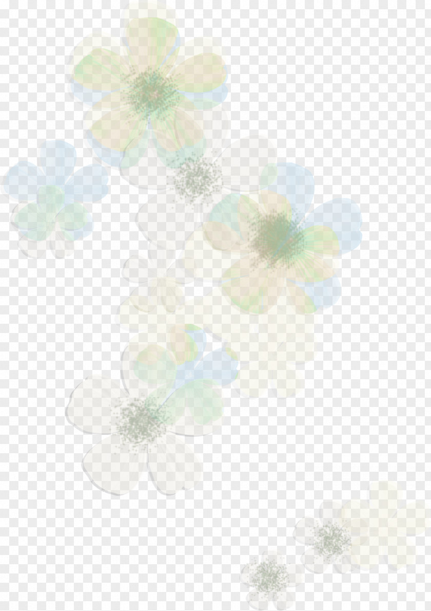 Flower Petal Turquoise Wallpaper PNG