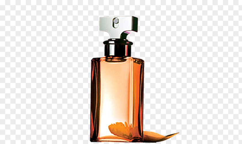 Perfume Calvin Klein Eternity Cosmetics Sandalwood PNG