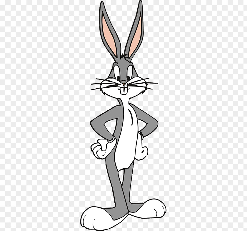 Rabbit Bugs Bunny Daffy Duck Porky Pig Elmer Fudd Cartoon PNG