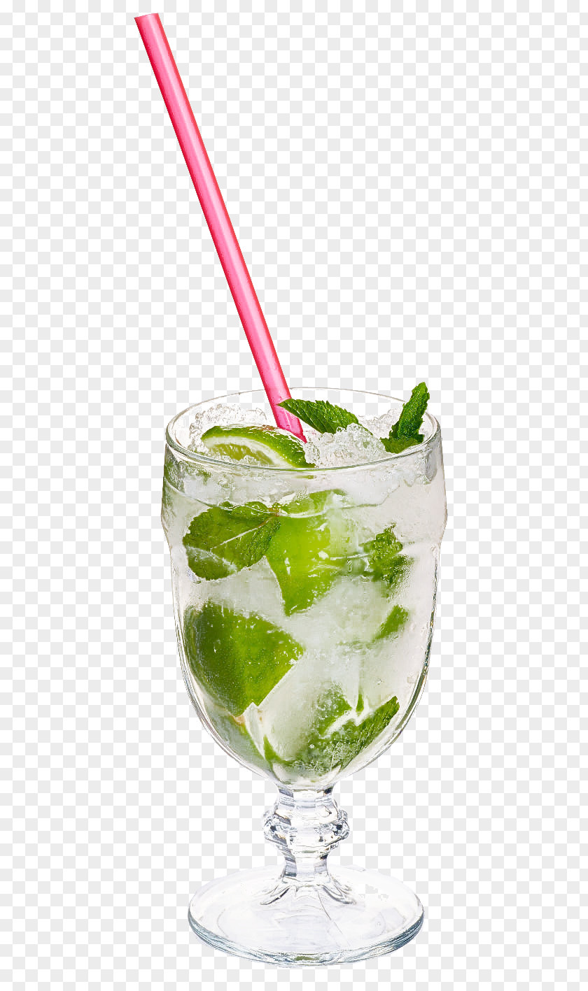 Rickey Lime Juice Mojito PNG