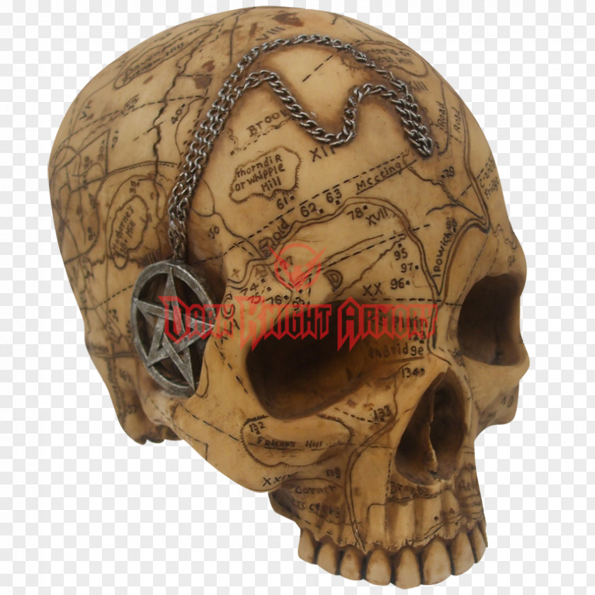 Skull Salem Witch Trials Witchcraft Wicca PNG