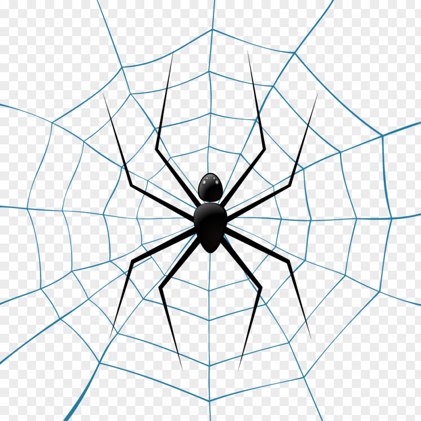 Vector Spider Web Theridiidae Euclidean Illustration PNG