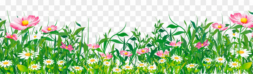 Flower Grass Cliparts Butterfly Grasses Clip Art PNG