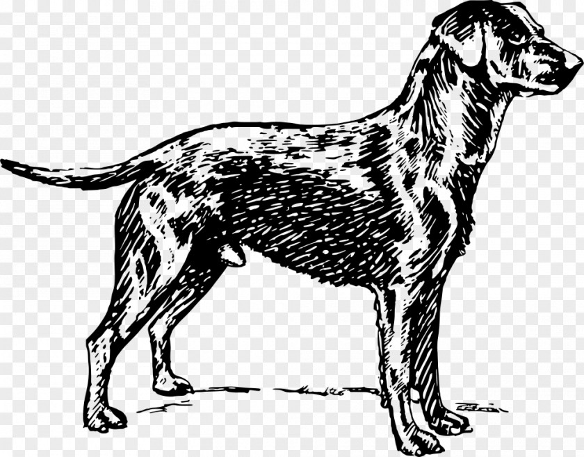 Golden Retriever Dog Breed Labrador Sporting Group PNG