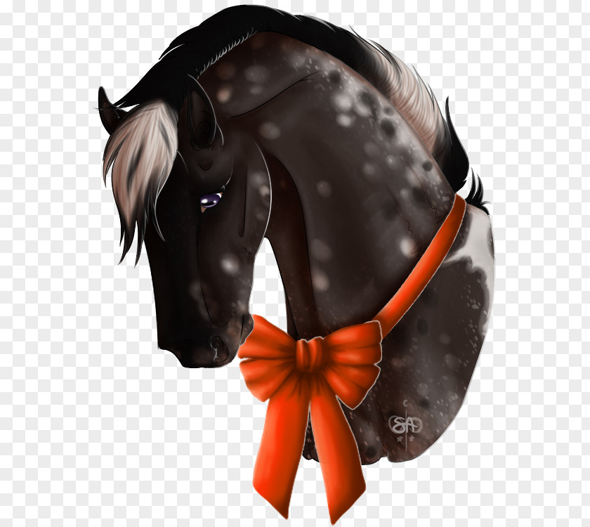 Horse Tack PNG