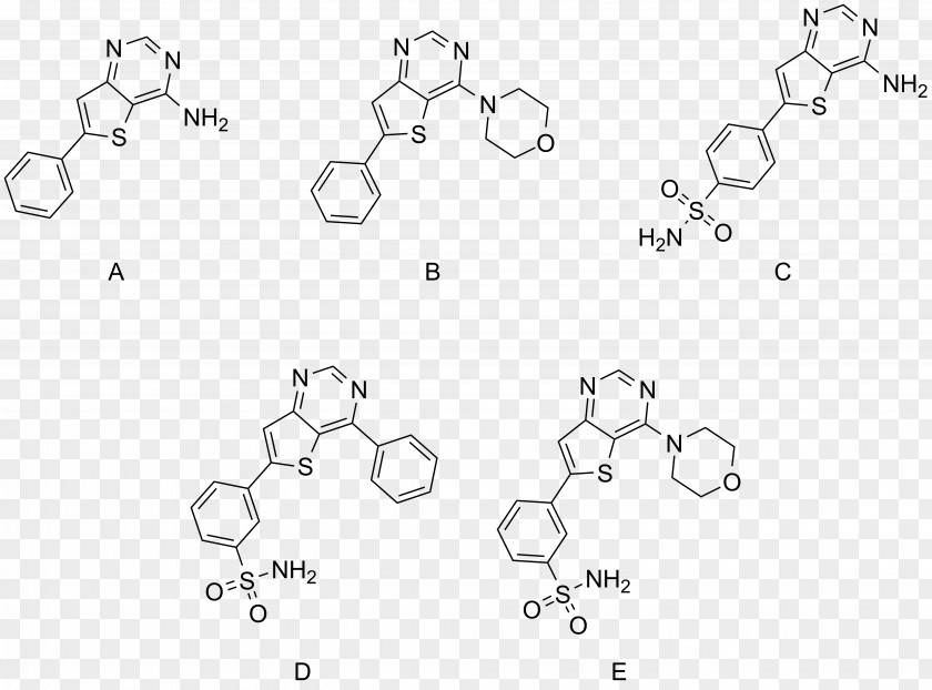 Malaria Buchwald–Hartwig Amination Ligand Phosphine XPhos Sonogashira Coupling PNG