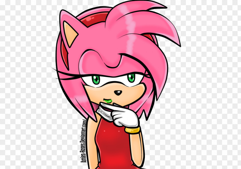 Sonic The Hedgehog Amy Rose Knuckles Echidna Tails Rouge PNG