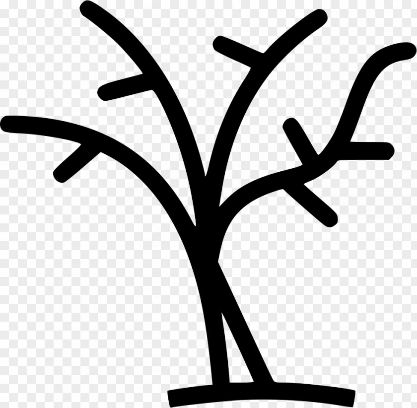 Tree Branch Clip Art PNG