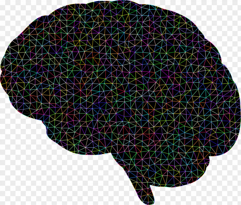 Brain Human Neuron Clip Art PNG