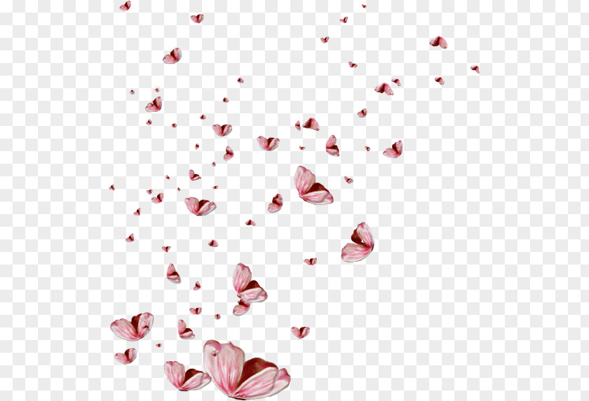 Butterfly Petal Effect Clip Art PNG