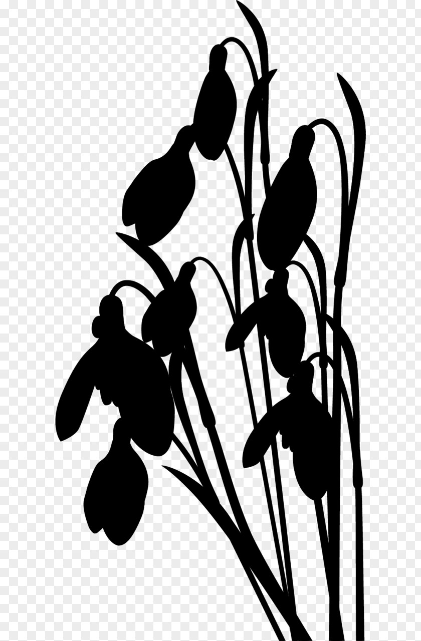 Clip Art Visual Arts Silhouette Flower PNG