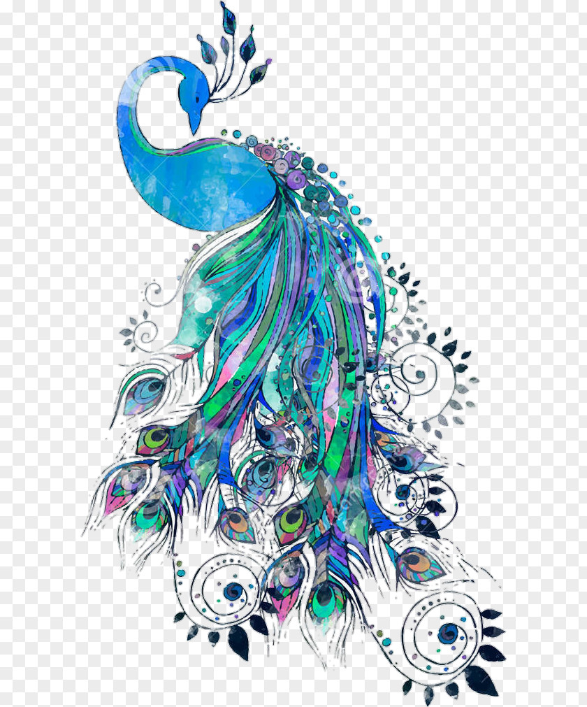 Feather Drawing Peafowl Vector Graphics Clip Art Royalty-free PNG