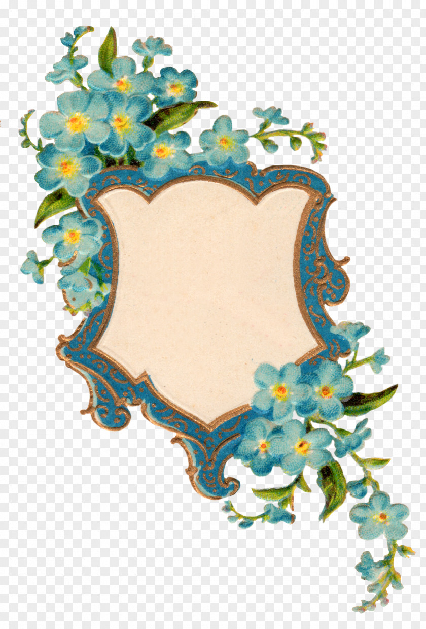 Forget Me Not Picture Display Resolution Clip Art PNG