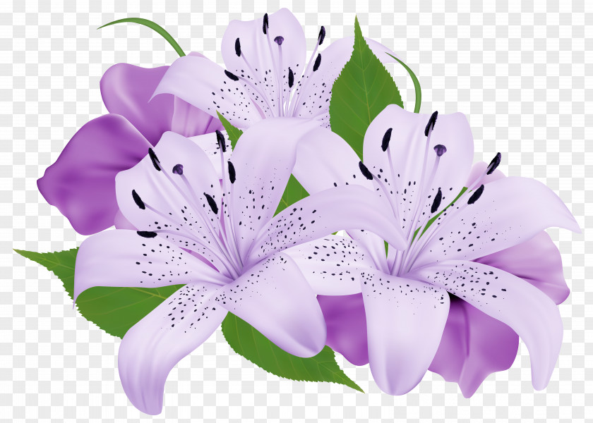 Purple Exotic Flowers Clipart Image Flower Clip Art PNG