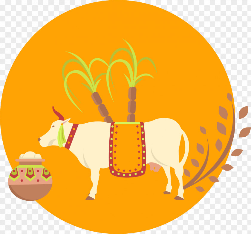 Thai Rice Pot Culture Pongal Cattle Mattu Festival PNG