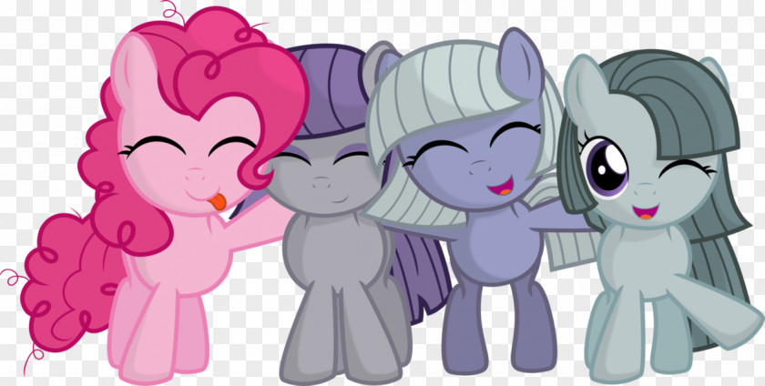 My Little Pony Pinkie Pie Twilight Sparkle Rainbow Dash Maud PNG