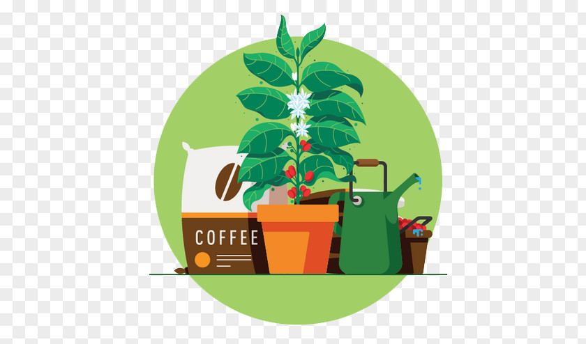 Plant Cultivation Digital Illustration Art Director PNG