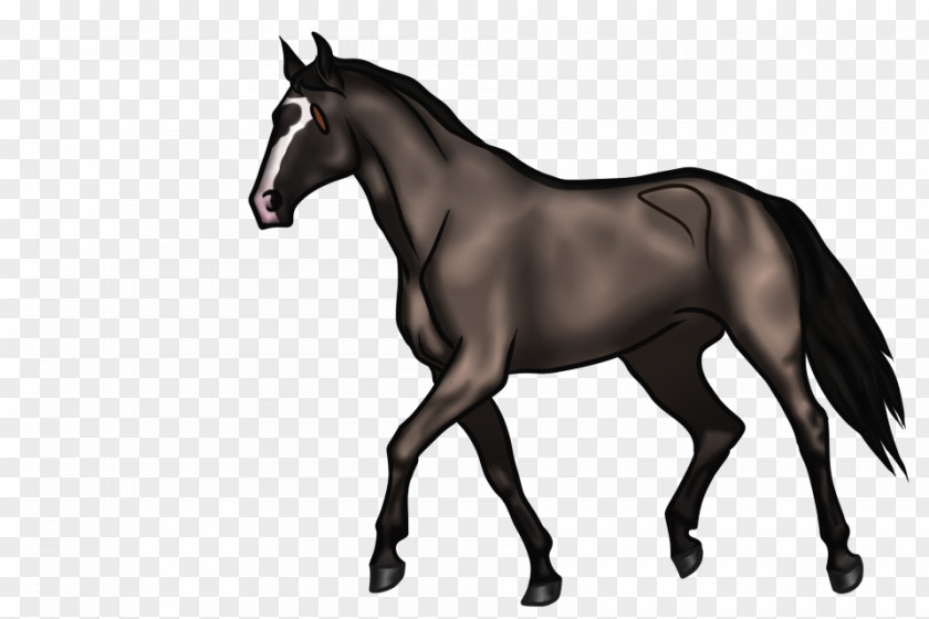 Shading Style Foal Mane Mare Mustang Stallion PNG
