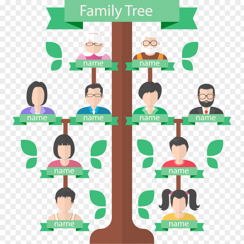 Vector Family Tree Genealogy Generation PNG