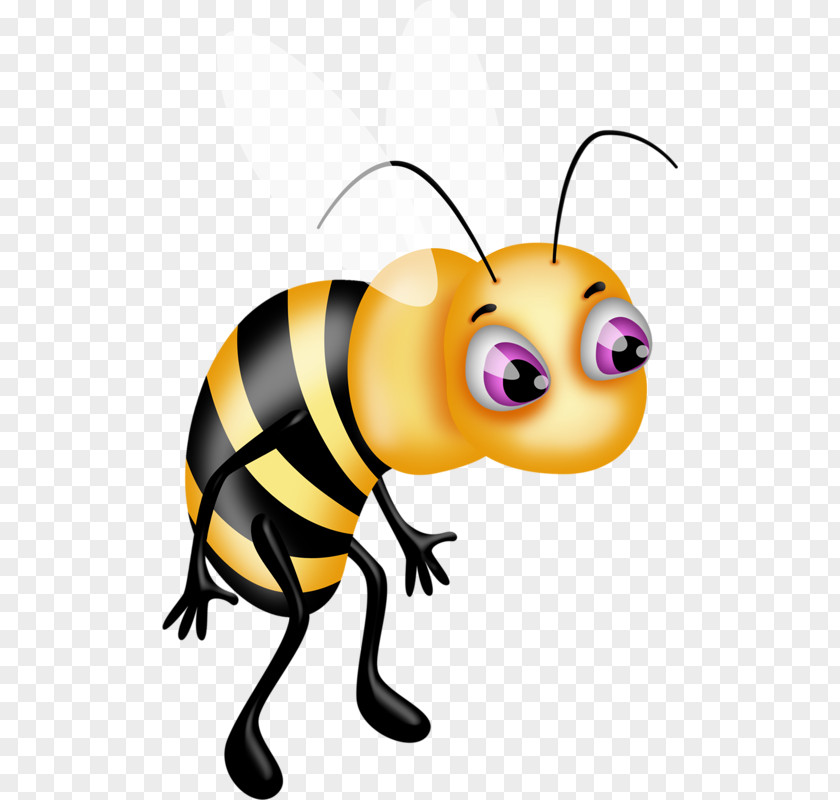 Bee Beehive Honey Clip Art PNG