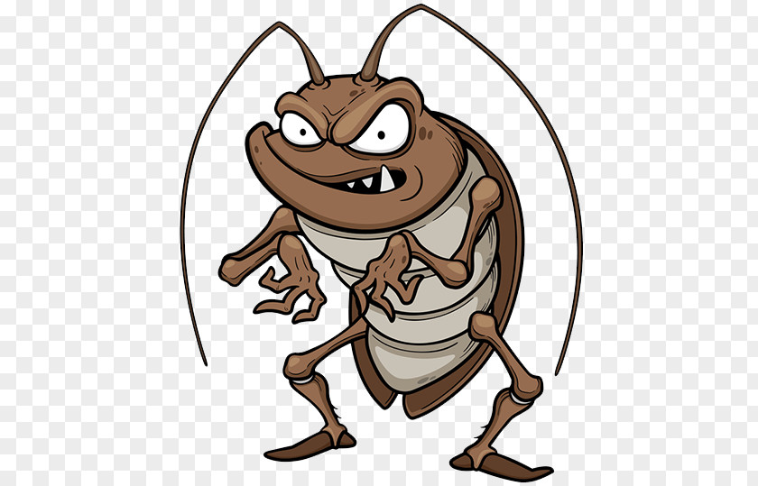 Cockroach Royalty-free Stock Photography Clip Art PNG
