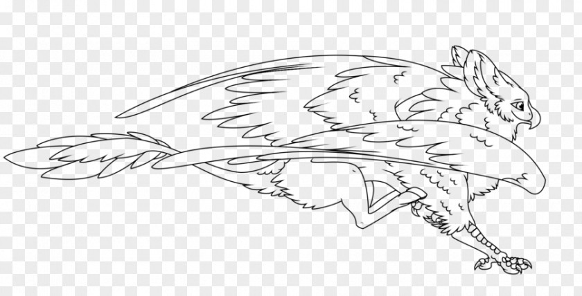 Griffin Line Art Drawing Sketch PNG